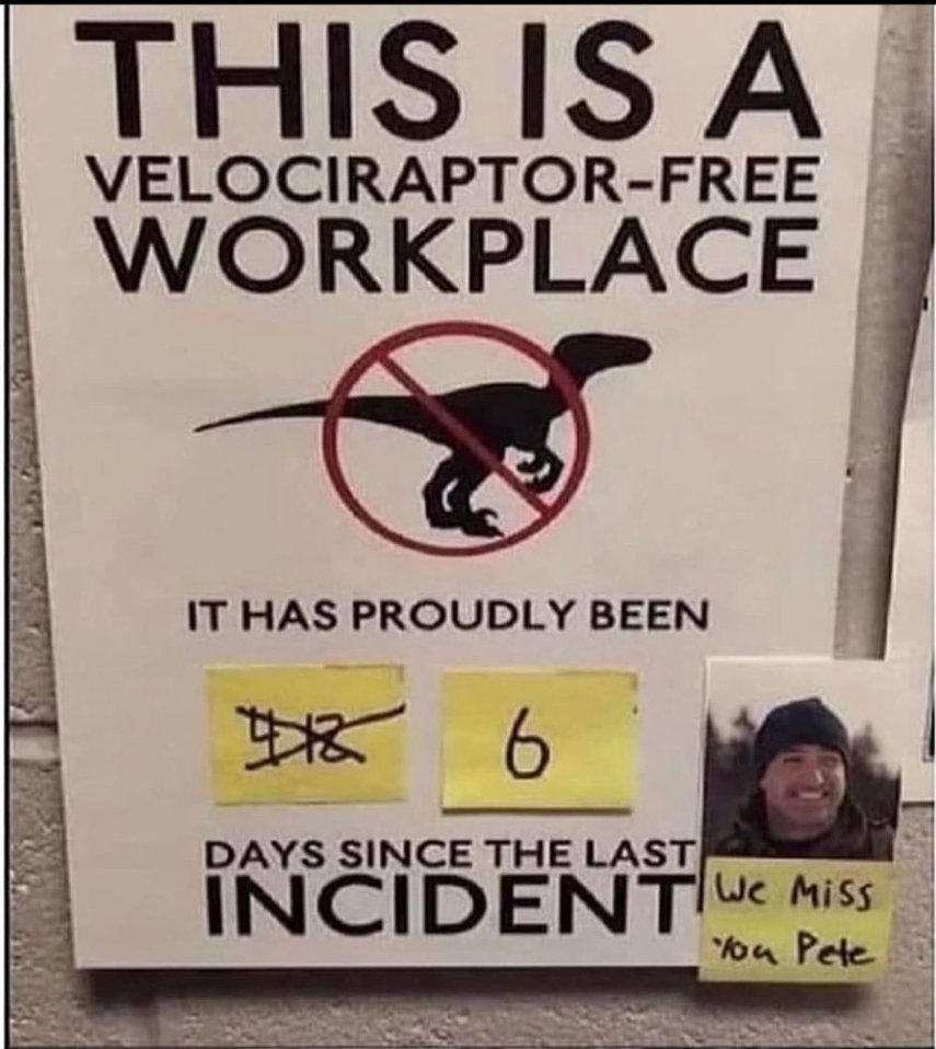 WholesomeMemes tweet media