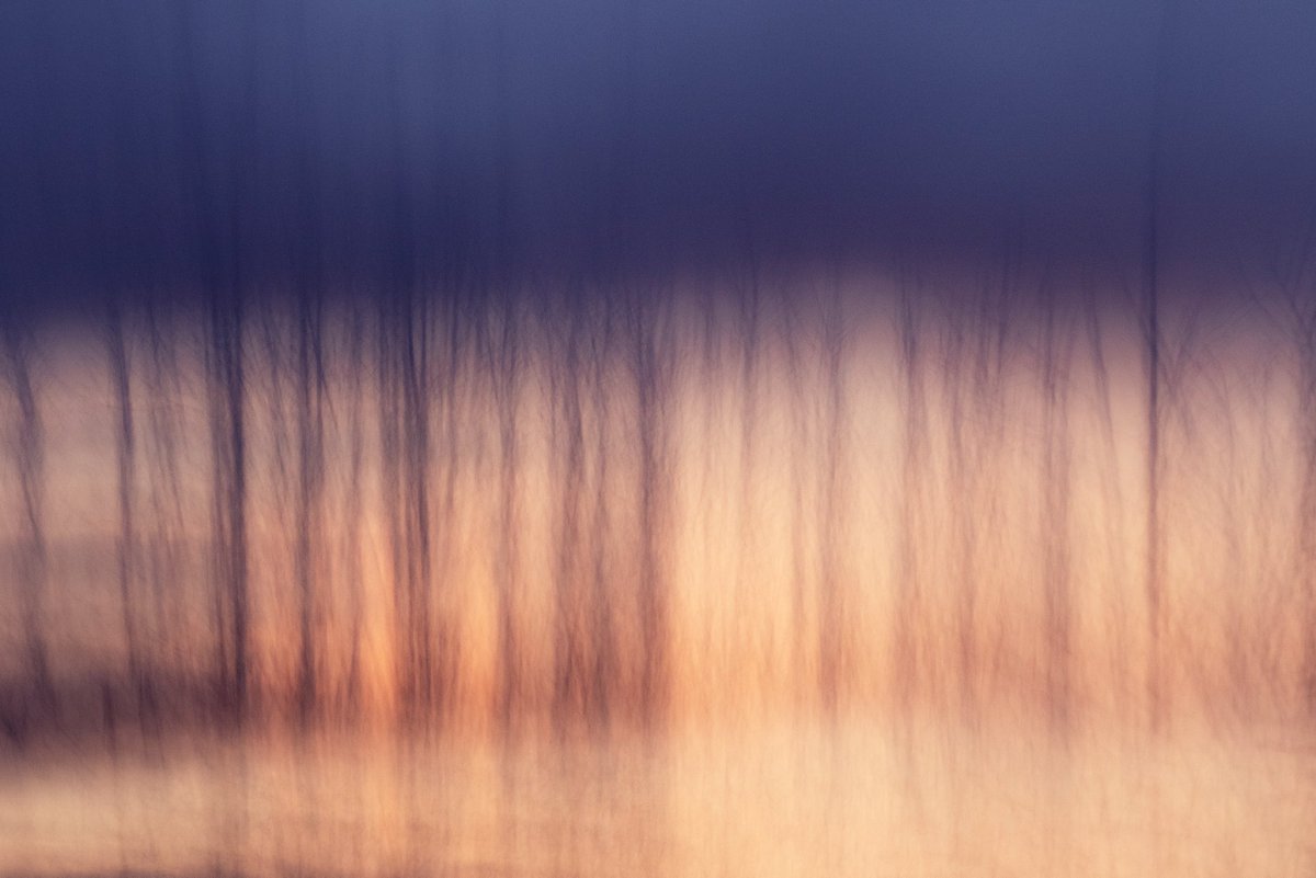 leemingpaterson's tweet photo. Day 19 and a gentler take on the purple, orange and foliage theme #icm #icmphotography #abstractphotography #creativeabstractphotography #creativephotography #slowphotographymovement #experimentalphotography #galloway #biosphere #zerofootprint with @ICMPhotoMag https://t.co/rw6n4LxPt4