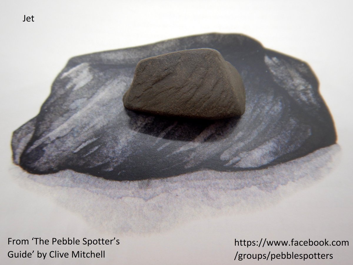 CliveBGS's tweet photo. Jet - this unassuming dull grey pebble is unpolished jet, it took many beach visits to find! Polished jet used in jewellery was popularised by Queen Victoria who wore it in mourning for Prince Albert. This pebble is from Whitby beach, North Yorkshire. #PebbleSpotting #28Pebbles https://t.co/uL4sucTnOE