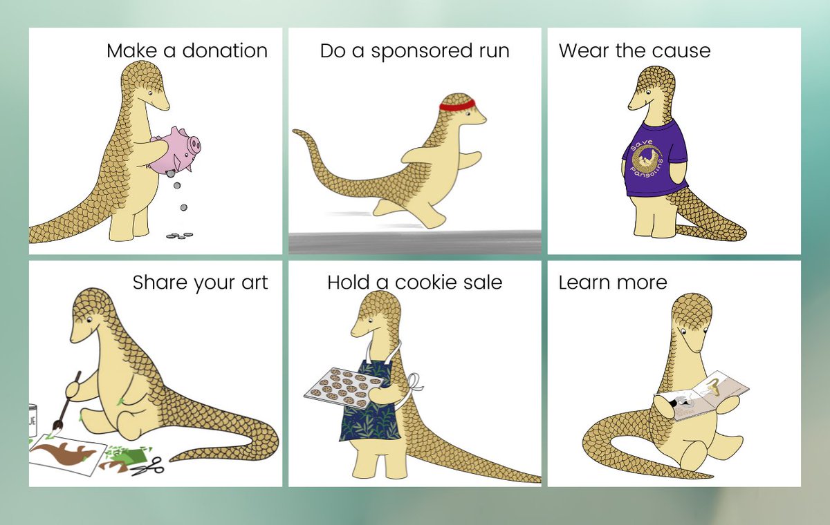 There's only one month to go before #WorldPangolinDay on Saturday 19 February! 😊🐜💚
What will you do to celebrate and help pangolins?
More ideas here 👇
rachellshaw.com/2021/02/20/how…