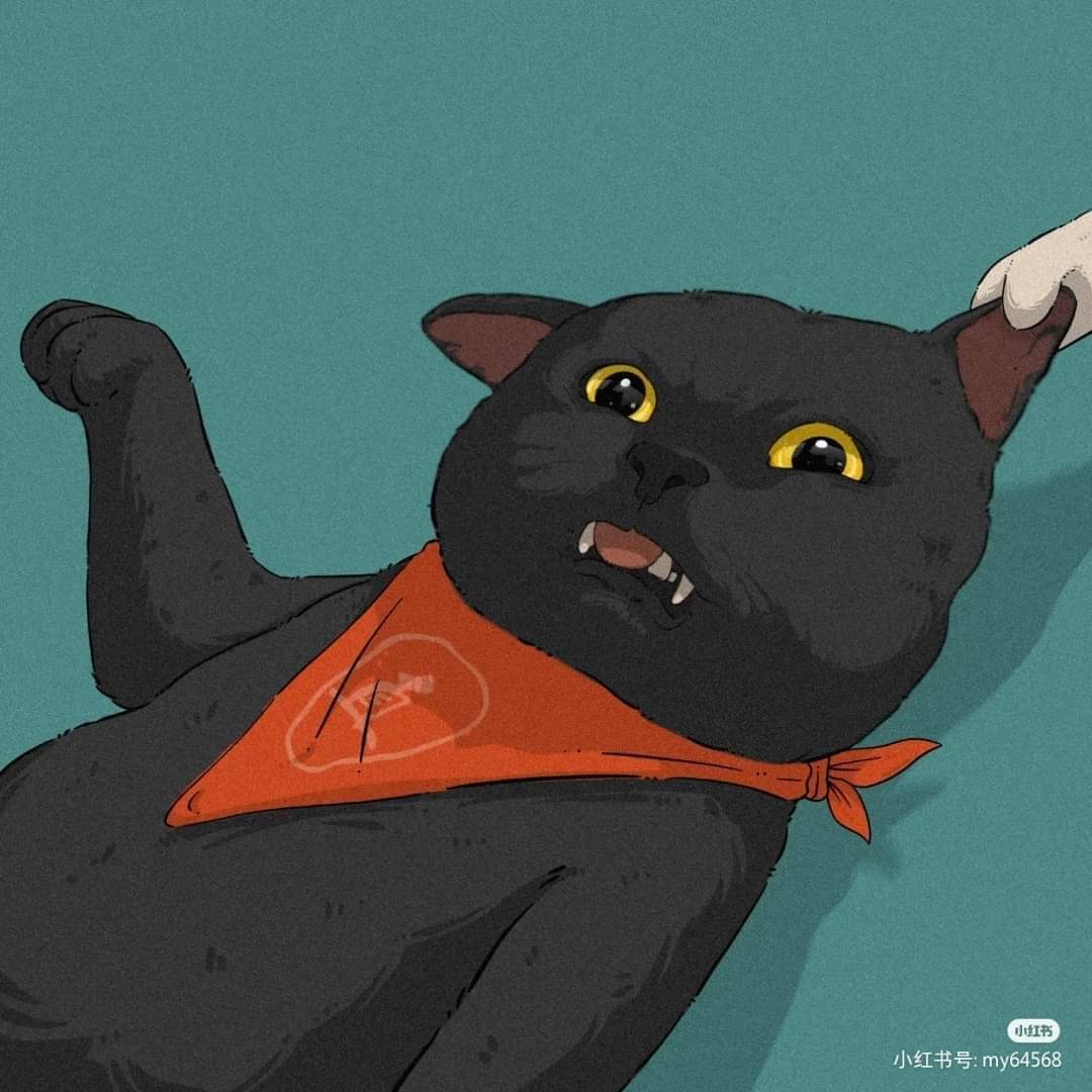 𝐜𝐚𝐭𝐜𝐡𝐢 tweet media