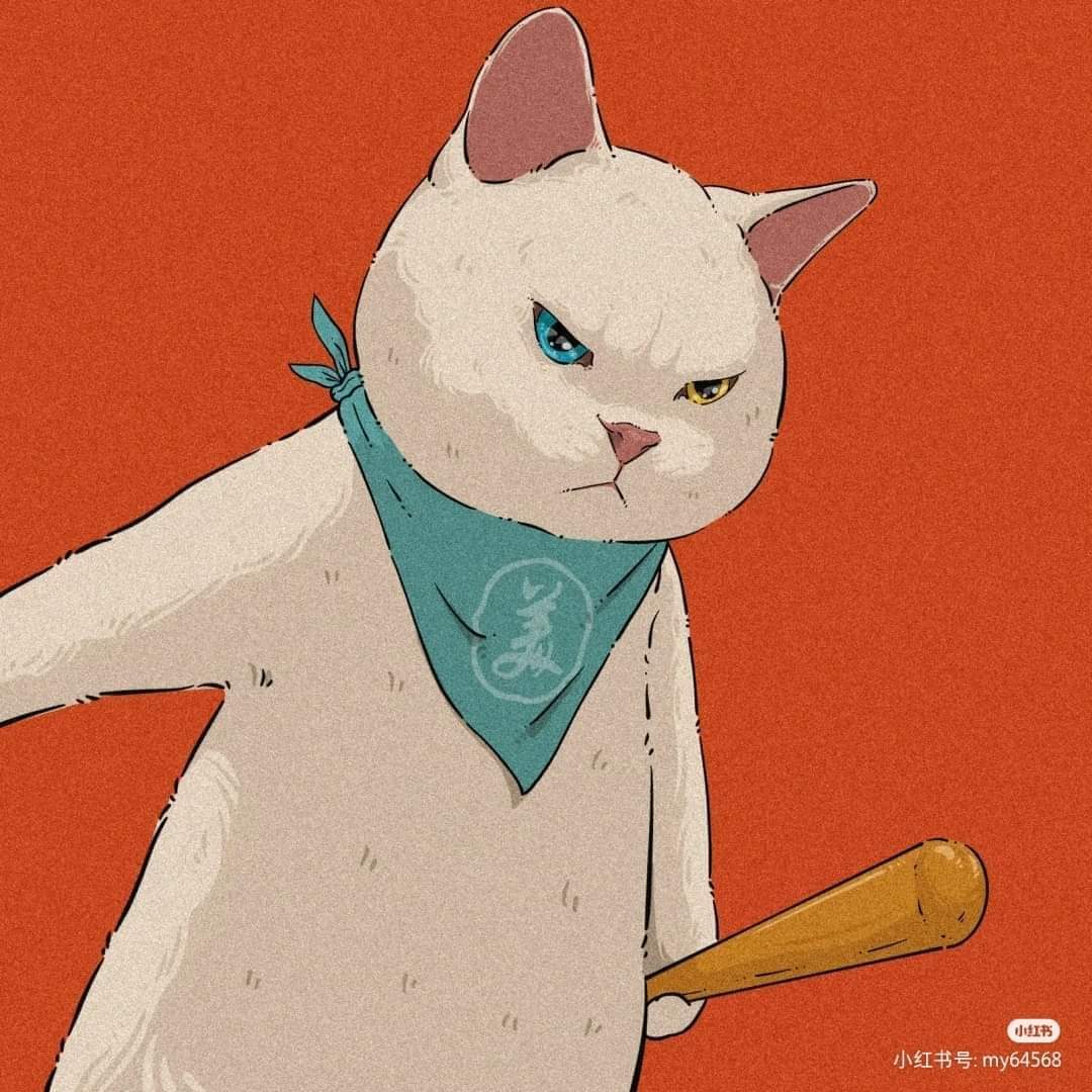 𝐜𝐚𝐭𝐜𝐡𝐢 tweet media