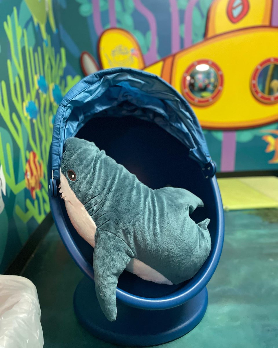 Bryan's House (@bryanshouseoa) on Twitter photo Bryan’s House provides an on-site therapy management program. Children enrolled in our program participate in on-site therapy sessions during the day, attending 1 to 5 sessions per week. 
🐠This is one of our incredible therapy rooms that our kids (and therapists) love so much. Bryan’s House provides an on-site therapy management program. Children enrolled in our program participate in on-site therapy sessions during the day, attending 1 to 5 sessions per week. 
🐠This is one of our incredible therapy rooms that our kids (and therapists) love so much.