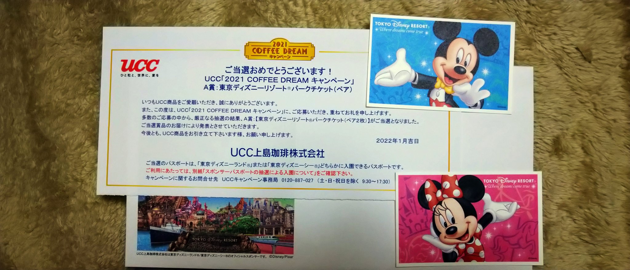 最新のデザイン 向日葵 様 ディズニースポンサーチケット 遊園地 テーマパーク Afols Pl