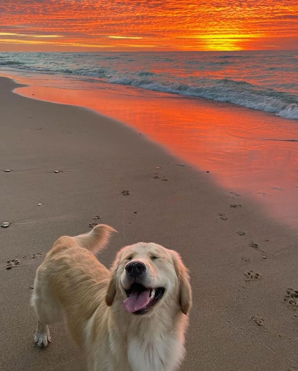 PrettyLittleThing tweet media