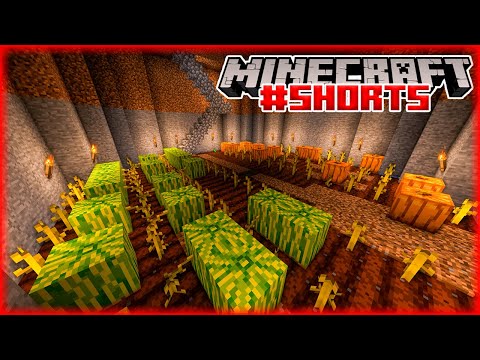 NeoWalkerBR's tweet photo. Maior plantação já feita no World In a Jar!!!

>> https://t.co/fpy1Ns1zM9 https://t.co/Va9yufYbg6