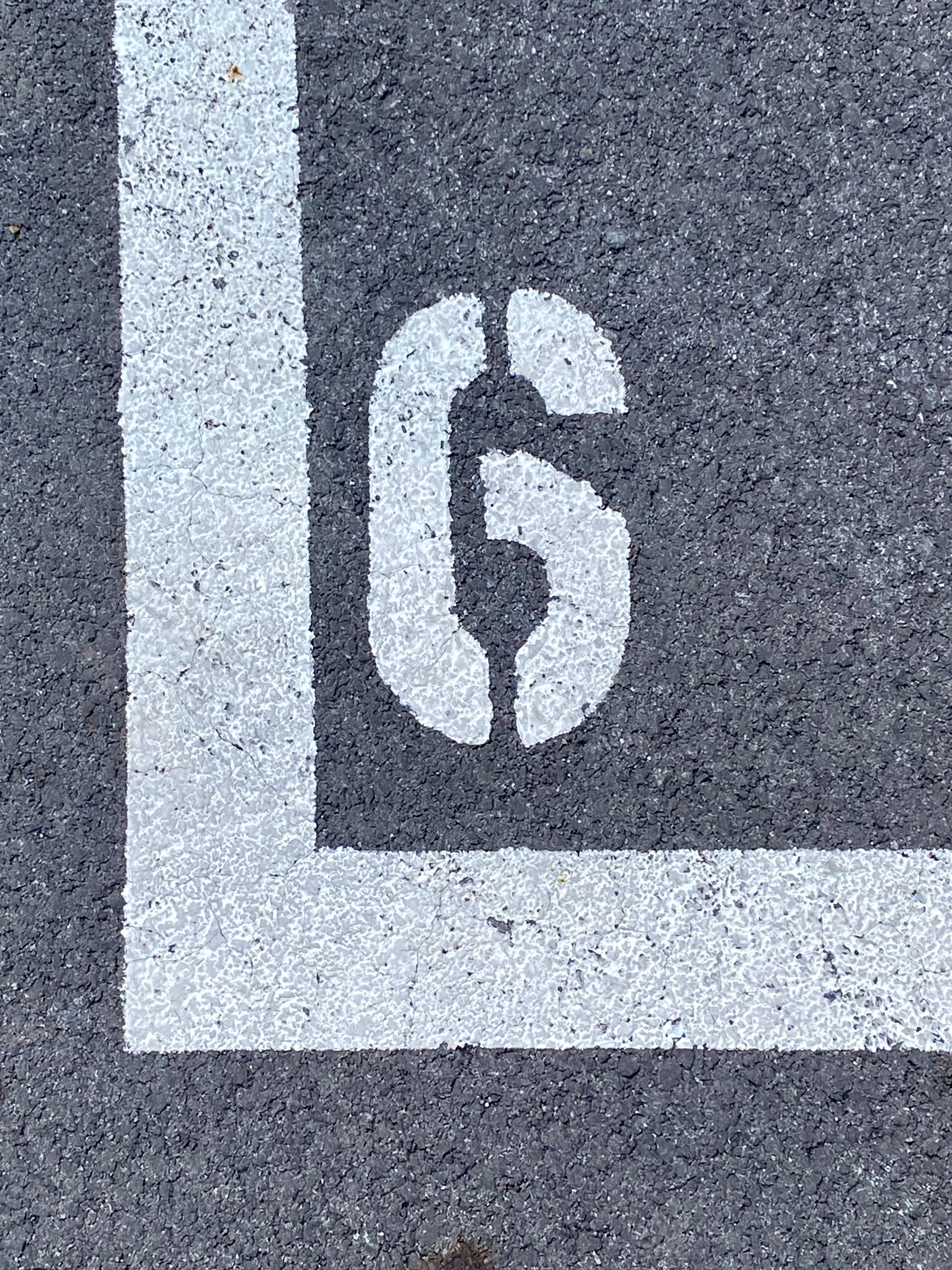 Volunteer Gwinnett Christmas 2022 Gc&B On Twitter: "Okay, Gwinnett! There Are Only Six Days Left (Counting  Today) To Drop Off Your Live Christmas Tree At One Of Our Collection Sites  At Fire Departments Throughout The County