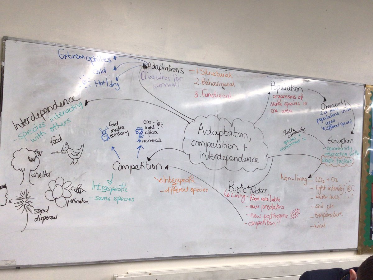 rba_science's tweet photo. Mrs Sparks’ Year 11s working on their own revision techniques in Biology today with the modelling of mind maps! @RBAcad https://t.co/2FsEKq9pI4