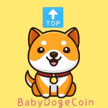YZMVIP's tweet photo. @babydoge It’s a @babydoge https://t.co/2fzE16fc1N