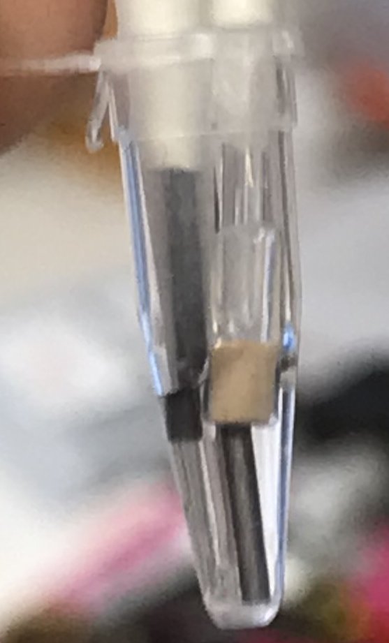 Michael Cheah tweet media