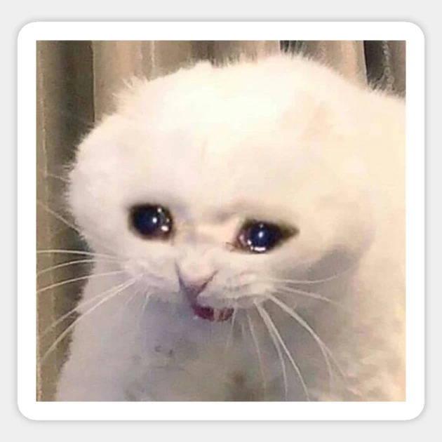 wretchedeye1's tweet photo. @serpendency Love EE btw but i'm scared of reading it again because if i do i'll just cry again https://t.co/enbwsAQoEa