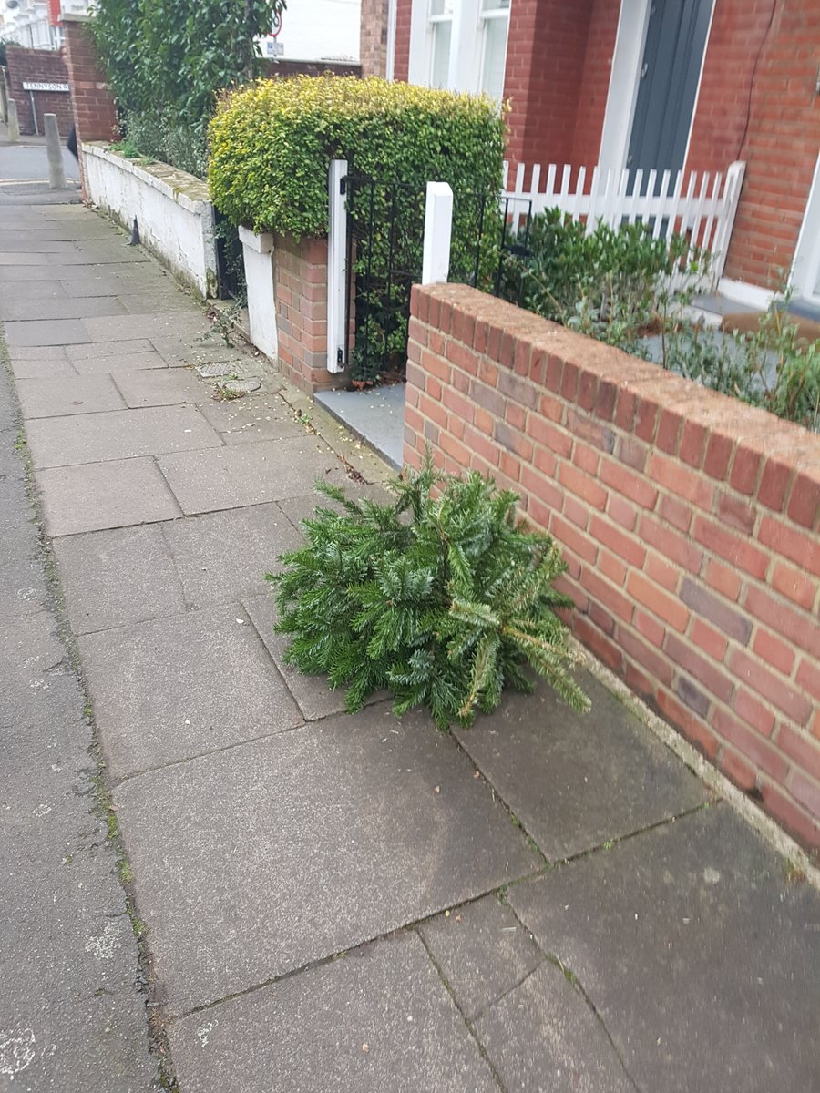 ♫ On the 26th day of Christmas, Merton Council gave to us : six Xmas trees in Cromwell Road, two in Caxton Road, one in Garfield Road. No gold rings unfortunately. ♫ @PaulKohlerSW19 @VeoliaUK @Merton_Council #muckymerton #mertonlabourfail SRQ-748366-B1S1Z2
