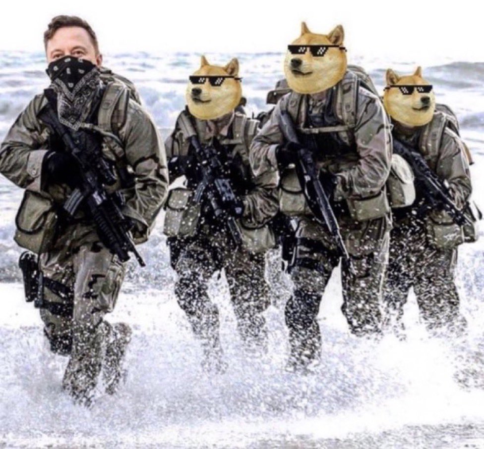 selenaroyf's tweet photo. I want to know , Is the $DOGE army still here? 👀🐕🚀❤️ https://t.co/DS3OwyvtNV