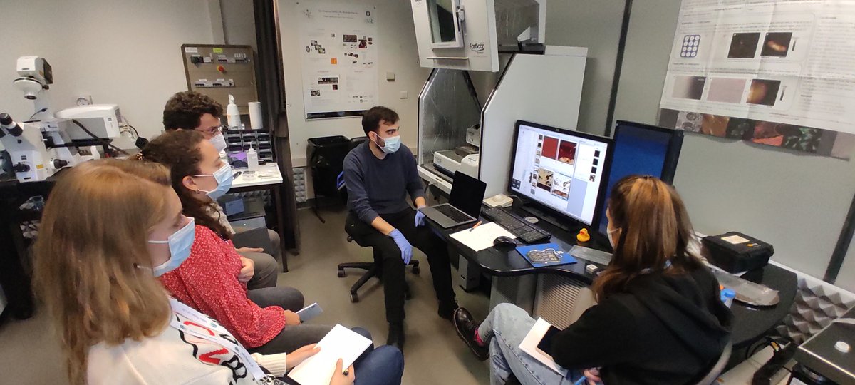 Lorena83's tweet photo. Practical sessions ongoing! @Phys2BioMed @MSCActions #biomechanics #mechanobiology #research #science @CIILofficiel @PasteurLille @CNRS_HdF @InsermNordOuest @isiteULNE https://t.co/VfMauwlRvY