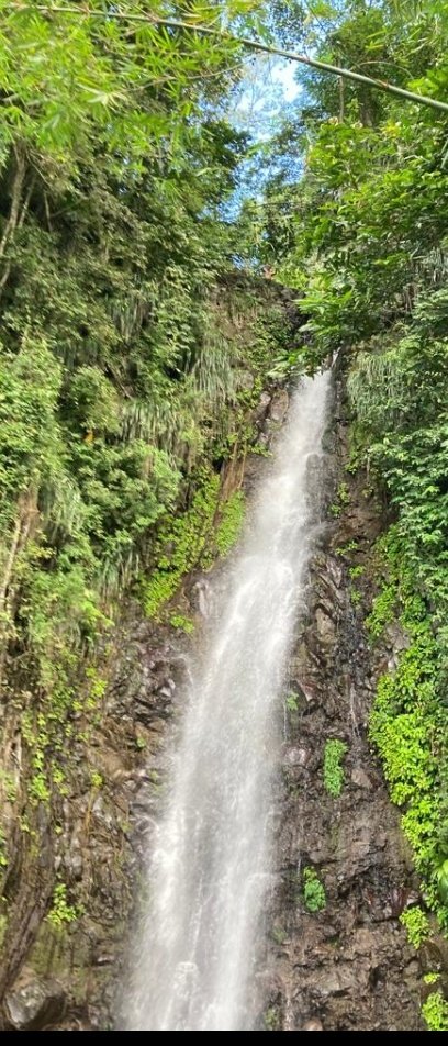 More Passport Stamps 🌎 tweet media