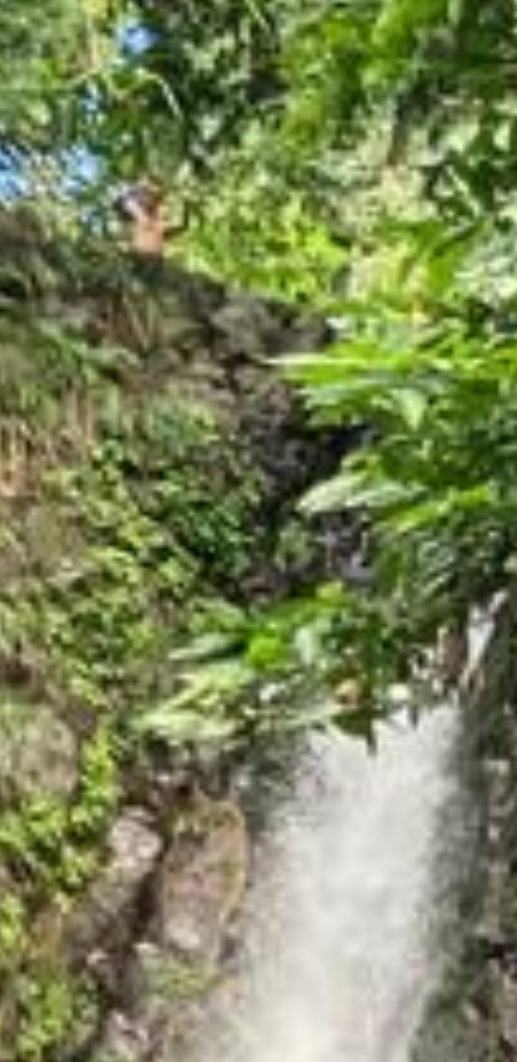 More Passport Stamps 🌎 tweet media