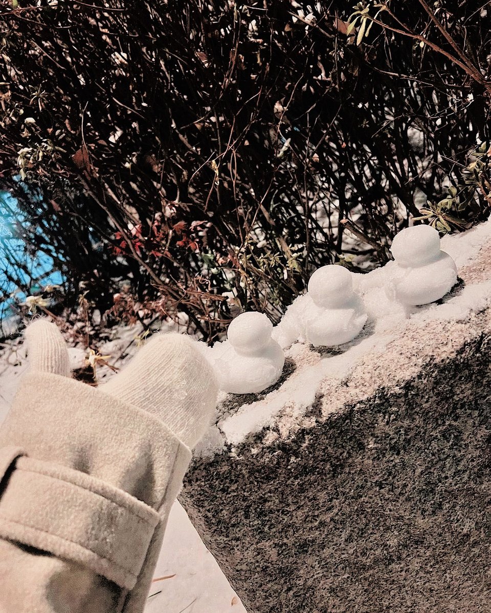 ⠀⠀⠀⠀
⠀⠀⠀⠀
⠀⠀⠀adria.⠀： posted an update ! 
         2O22년 O1월 19일 ╱ 1O:27 PM

         playing with snow atm. look ang
         ang cute ng ducks ko! <3 🦆
͏͏͏͏͏͏ ͏͏͏͏͏͏

⠀⠀⠀