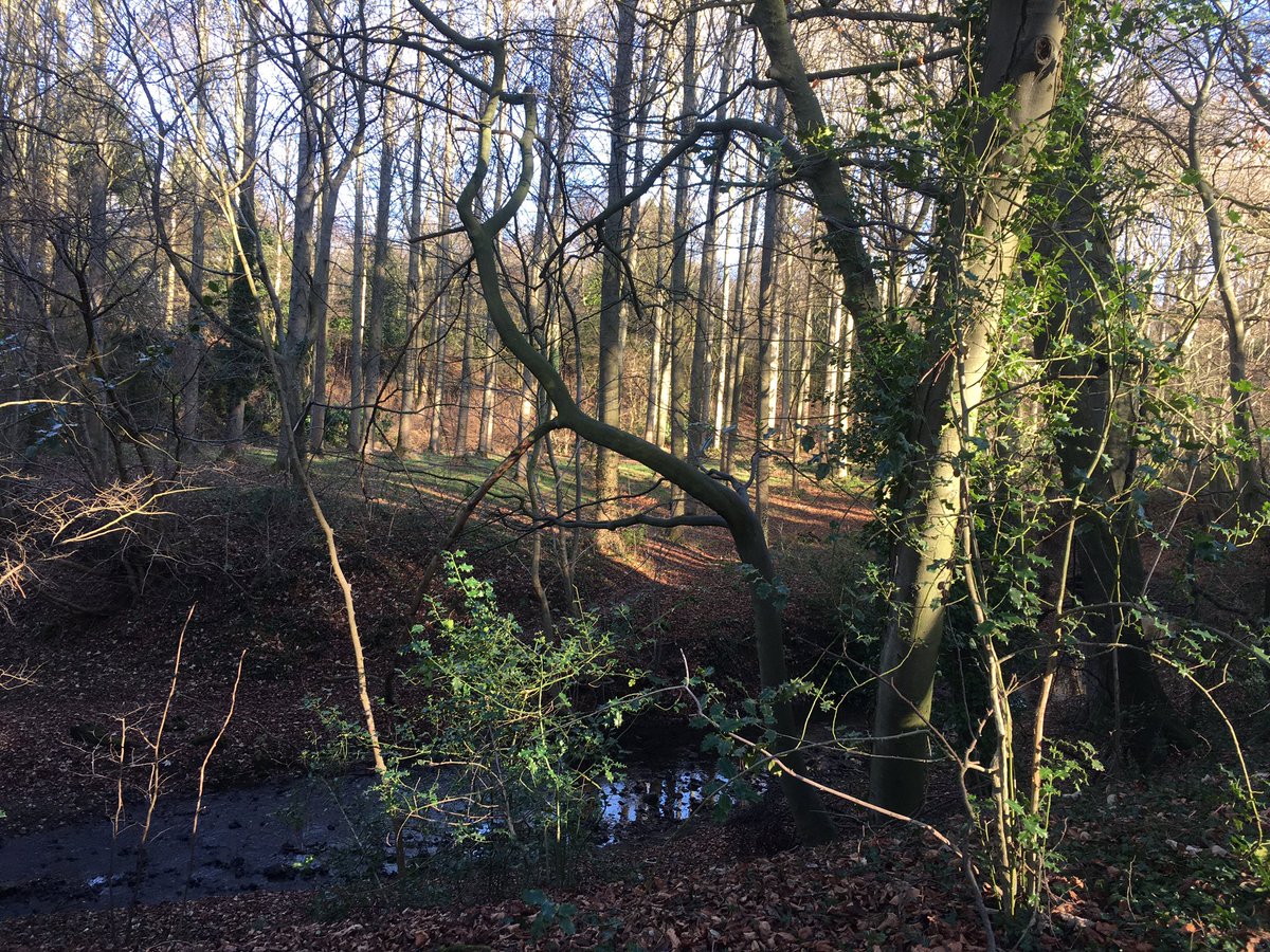 WRChapelgarth's tweet image. Never miss our #mindfulwalk if you want to reset between #writingsessions #writingretreat #mindfulac #AcademicTwitter #AcademicChatter #PhD #phdlife