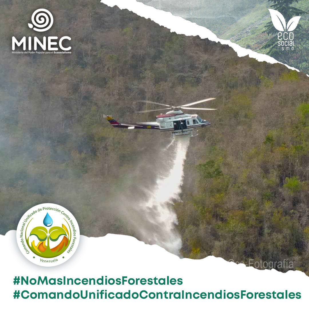 Con la destrucción de los #IncendiosForestales la cobertura vegetal, contribuye a la pérdida de la biodiversidad, reducen la producción y recarga de acuíferos, acelerando los procesos erosivos al , esto afecta la salud 
#NoMásIncendiosForestales 
<a href="/MinecOficialVe/">Minec Oficial</a>