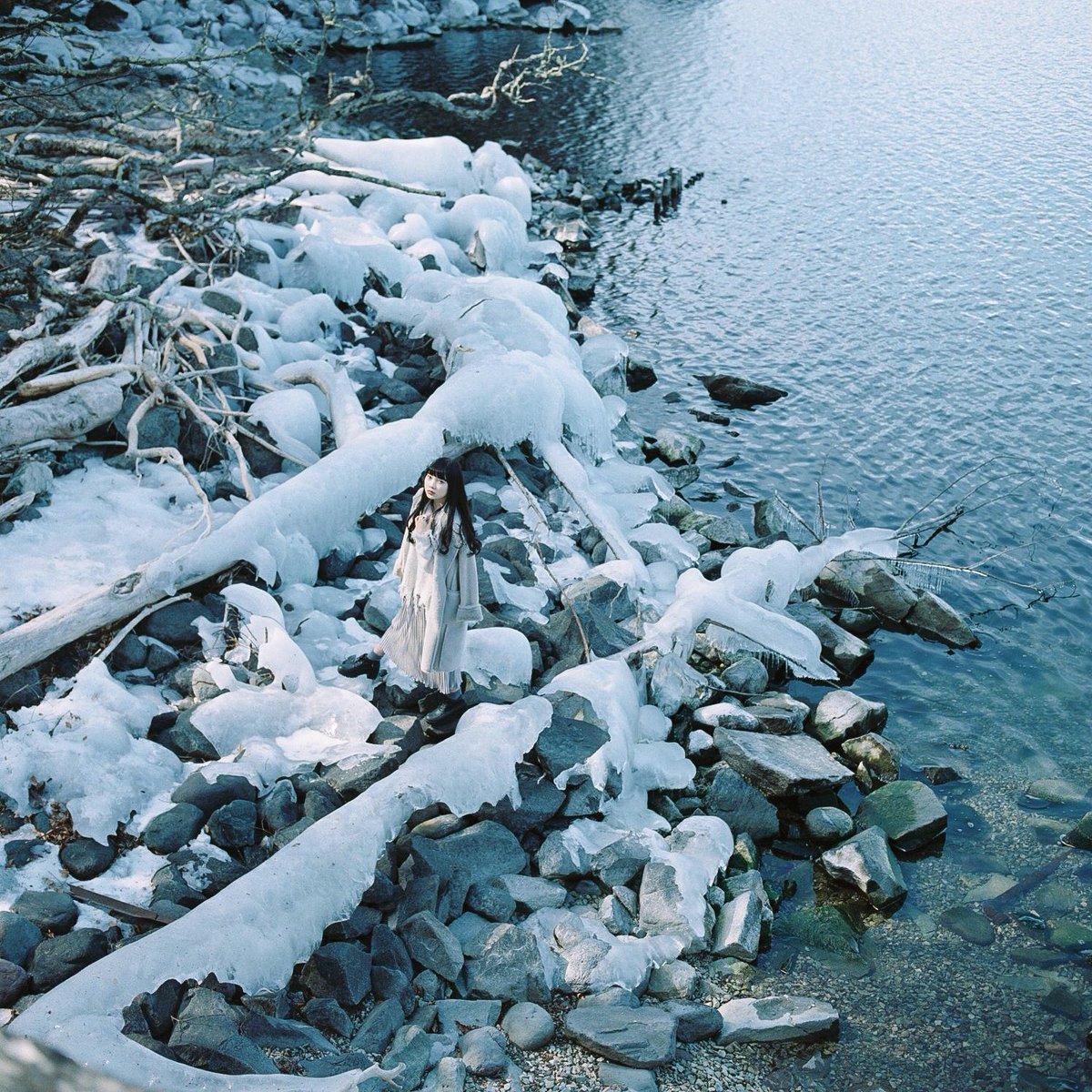 Icey Chuzenji lake

#Hasselblad500CM