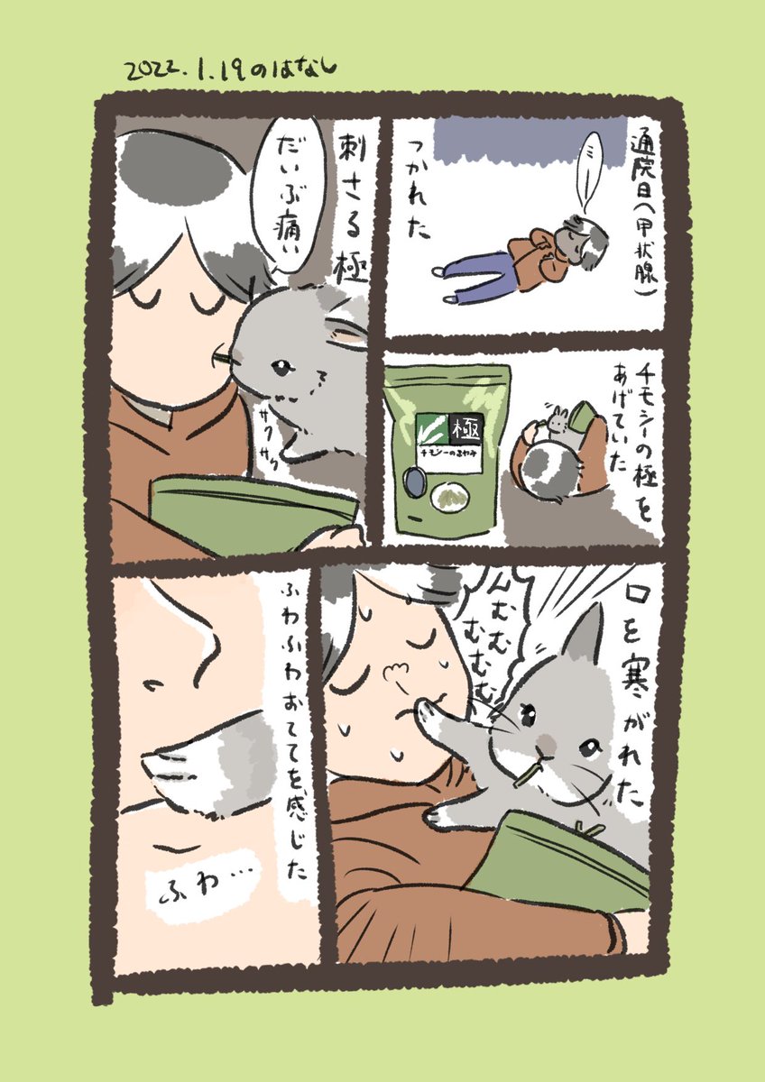 今日のrabbit…
#うさぎのいる生活 