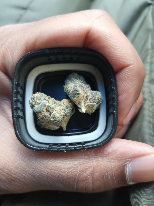 Lucinda Williams the dispensary was on point with this one https://t.co/noi9jGtANz