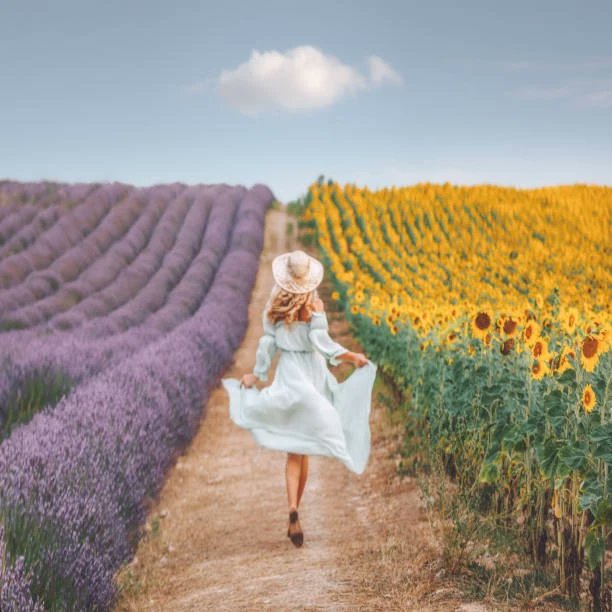 direct_owners's tweet photo. Happy International Flower Day! ๐ป๐ผ here's Provence & French Riviera where bright-yellow sunflower fields provide a beautiful contrast to the lush purple rows of lavender๐
Visit our website ๐ฅ๐
๐https://t.co/dYnWipb1fe
#InternationalFlowerDay #nature #DirectOwners https://t.co/uWI8nUXsR1