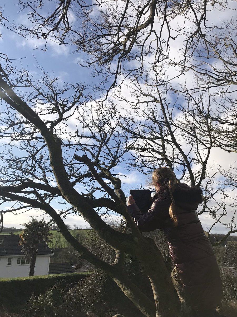ysgolyddraig's tweet photo. #YYDcaerffili #YYDcaerdydd #YYDhafren using our local community to capture landscapes to help us paint in the style of Kyffin Williams #YYDexpressive #YYDcreativity #YYDcommunity https://t.co/s281qNotSn