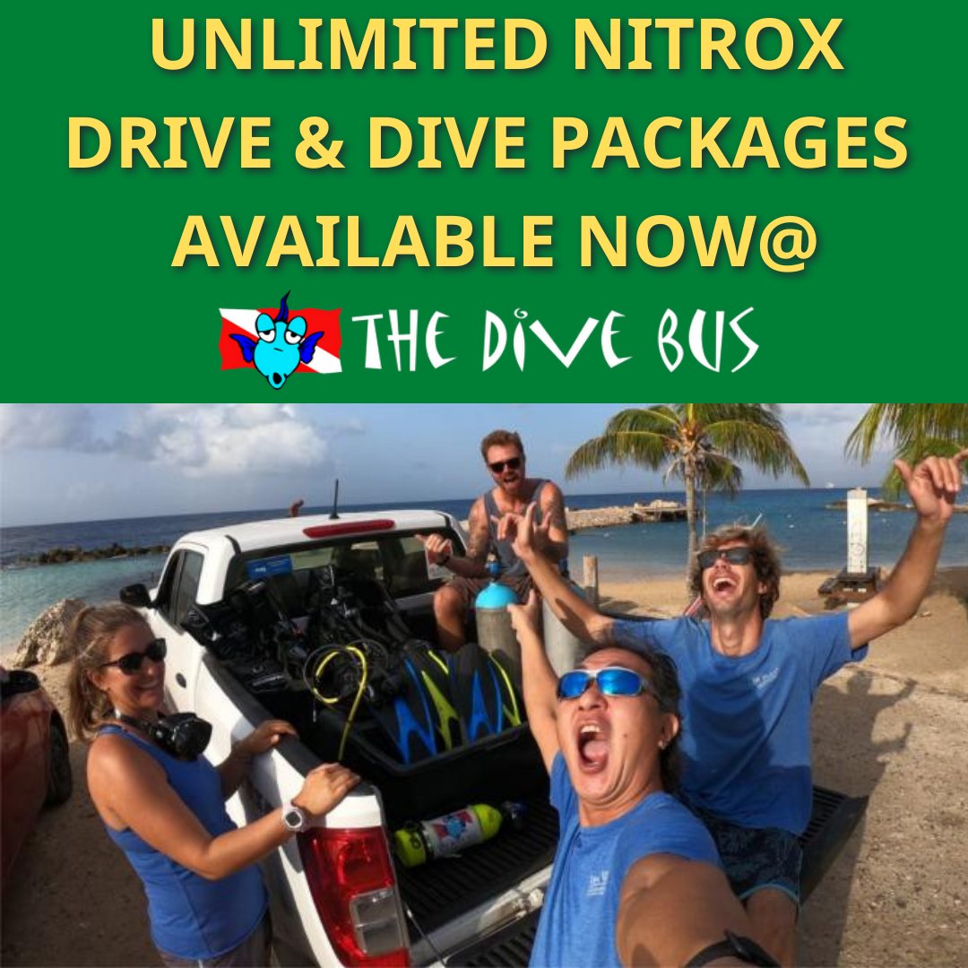 A wise man once said.. “2 Nitrox a day, keeps the deco away!”  Enjoy 10% discount on PADI Nitrox Course when you purchase a Nitrox Drive and Dive Package! More info: bit.ly/driveanddive #curacao #shorediving #vacation #diving