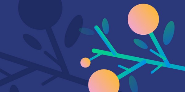 Damian Hall Group tweet media