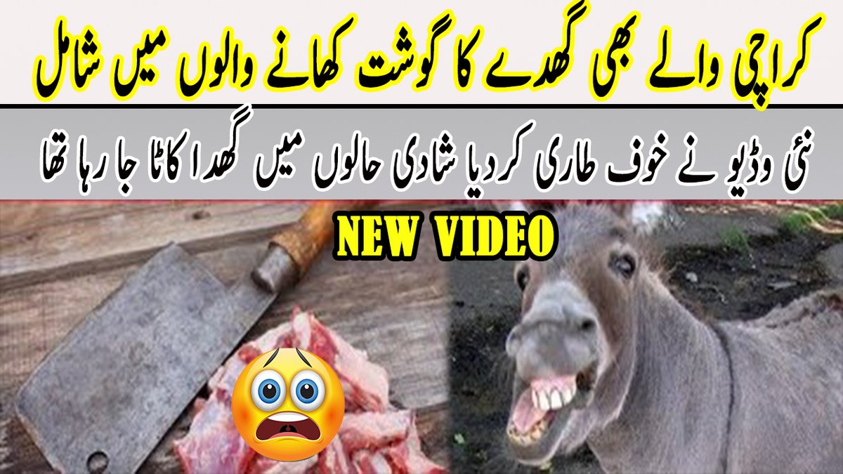 AsadSMirza1's tweet photo. کراچی والے بھی گھدے کا گوشت کھانے والوں میں شامل نئی وڈیو نے خوف طاری کردیا شادی حالوں میں گھدا کاٹا جا رہا تھا

#shameondunianews #MyPMImranKhan #X70LocalAssembly 

https://t.co/HMlszaGTG2 https://t.co/t2nlw0obeA