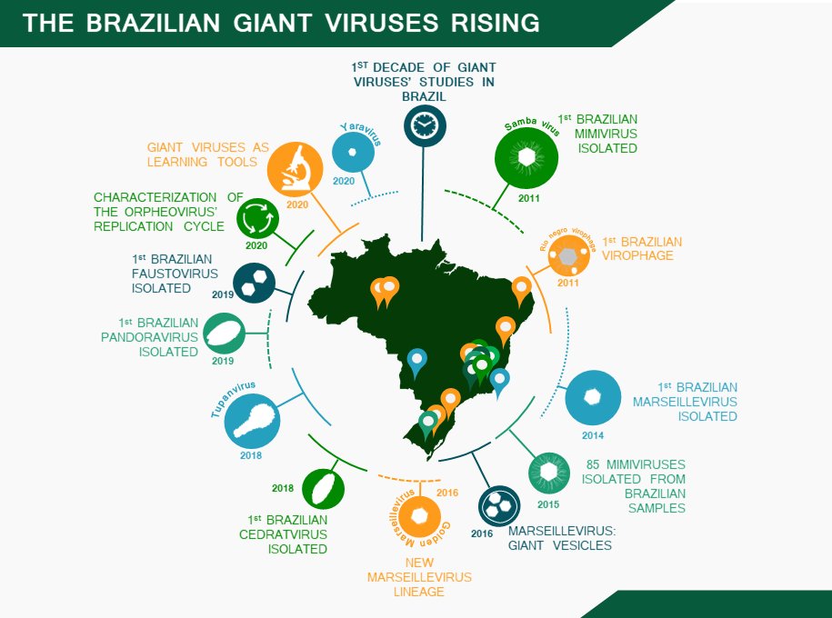 Check out the latest article from our team:

A Brief History of Giant Viruses’ Studies in Brazilian Biomes 👉mdpi.com/1457010 #mdpiviruses via <a href="/VirusesMDPI/">Viruses MDPI</a>