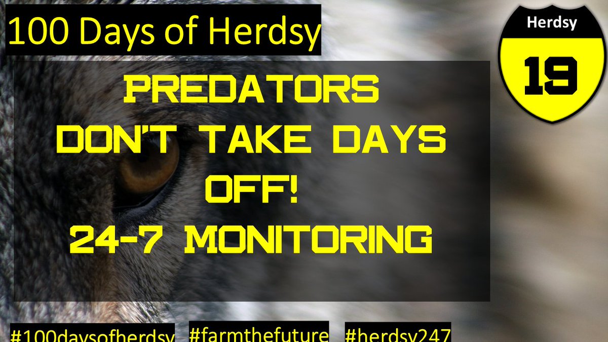 HerdsyHQ's tweet image. You can&apos;t watch over your Herd 24/7, predators need to be lucky just once! Herdsy tech can monitor your animals 24/7 and be there when you can&apos;t. Don&apos;t fall prey to losses on your Herd get Herdsy today.
See Ya&apos;ll soon in Texas in March. #247monitoring #farmthefuture #TSCRA