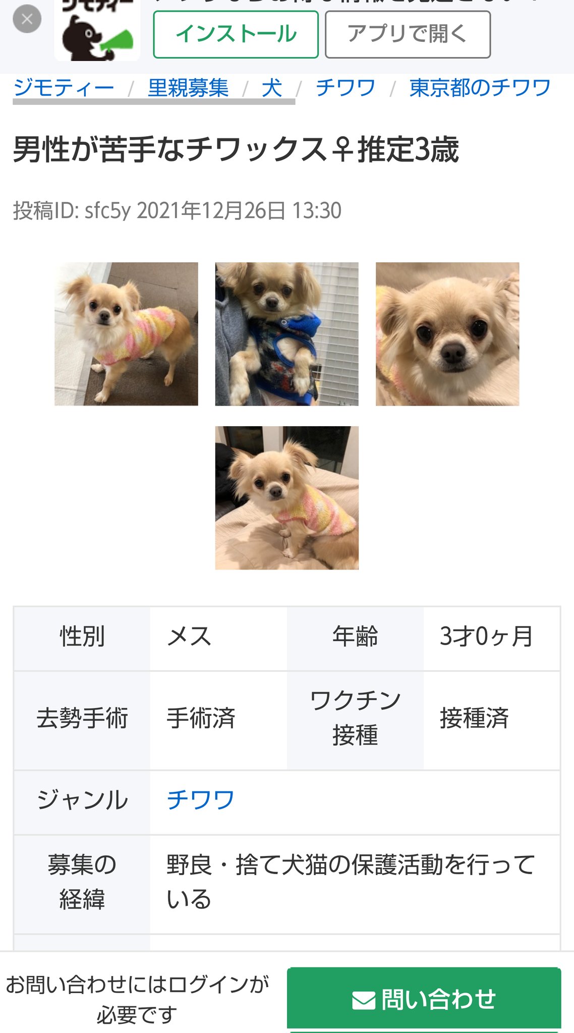Yumiko ジモティーで ペット里親会 里親募集してる 繁殖犬 それも3歳 まさか アニマル桃太郎の犬ではないよね アニマル桃太郎 ペット里親会 繁殖牝馬 チワワ T Co 7q4glebk0v Twitter
