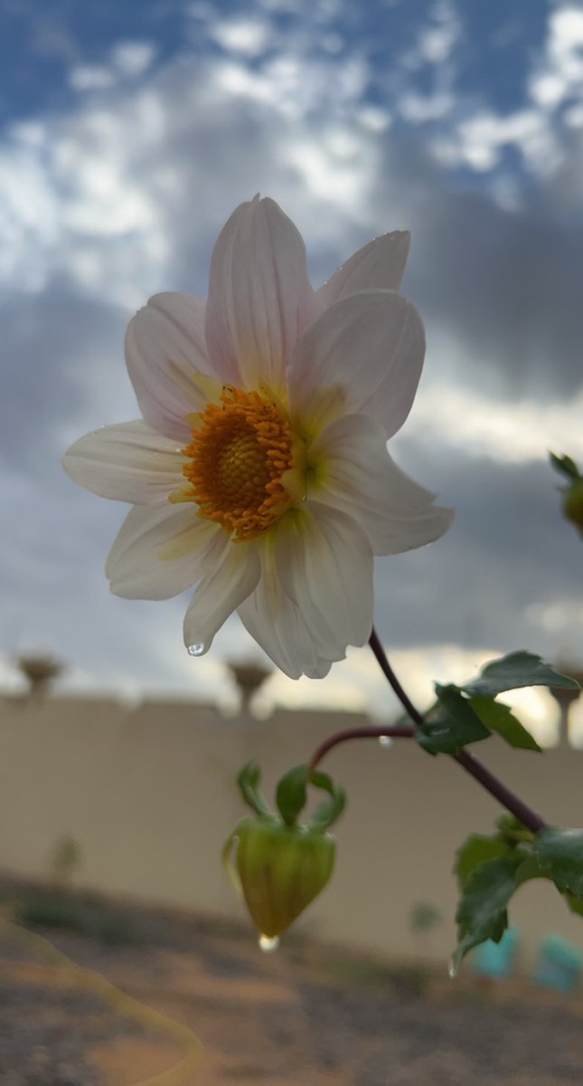 _FM321 tweet picture