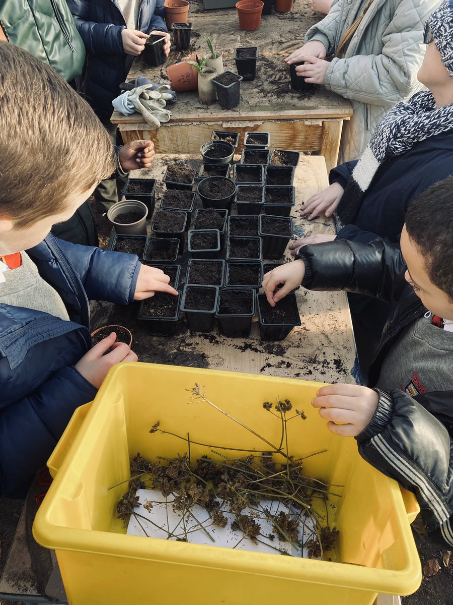 StVincentsL12's tweet image. An exciting #ReverseInclusion session with our friends @AllSaintsL4 as we prepare to launch our @RHSSchools The Little Free Greenhouse Project. We’ve also been exploring more sustainable ways to save and sow seeds @davidstvin @norah_warburton @DrJohnAPatters1 @BaldHeadteacher ☀️