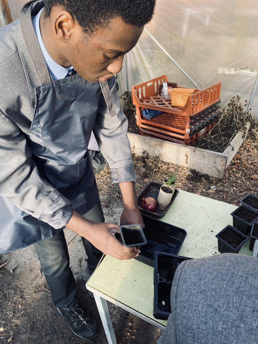 StVincentsL12's tweet image. An exciting #ReverseInclusion session with our friends @AllSaintsL4 as we prepare to launch our @RHSSchools The Little Free Greenhouse Project. We’ve also been exploring more sustainable ways to save and sow seeds @davidstvin @norah_warburton @DrJohnAPatters1 @BaldHeadteacher ☀️