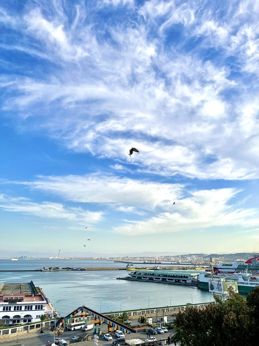 samtoum's tweet image. Alger 19.01.22 15:56