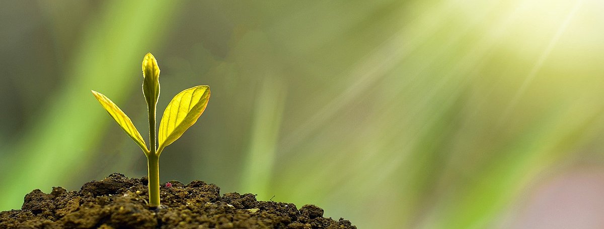 📌 Nachgehakt!

Sponsoring von Hochschulen

Es stellt sich die Frage, wie der Hochschulbetrieb angesichts der erweiterten Aufgaben mit der erforderlichen Transparenz finanziert werden soll, ohne die Neutralität der Wissenschaft zu gefährden.

👉 Artikel: zcu.io/mF7X