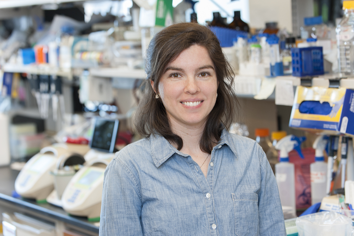 WCMEnglanderIPM's tweet photo. Don't miss the Feb 03 @SelectScience webinar "How to optimize and overcome challenges in in vitro #oncology models," featuring @WCMEnglanderIPM  Ex Vivo Models Director Dr. Laura Martin (@MLauritamartin) with @theNCI @UniofOxford @CorningLifeSci and more!

https://t.co/y0vS1f4kpR https://t.co/FYzaZ4F2VY