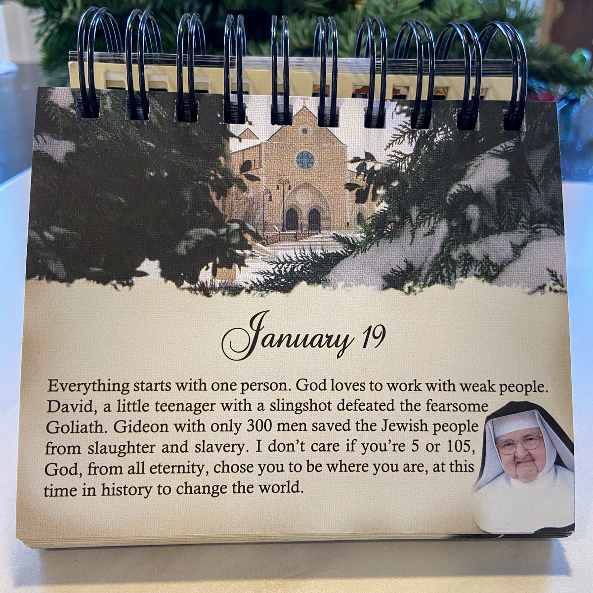EWTN's tweet photo. For more #wordsofwisdom from #EWTN Foundress #MotherAngelica - https://t.co/g3GUoqiK5S

#Catholic #WordsofWisdom #MotherKnowsBest #QuoteoftheDay #DailyInspiration #CatholicQuotes https://t.co/TFcaoXTZSn