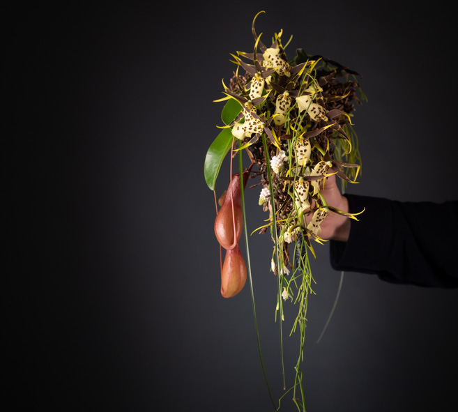 FLOOSWEB's tweet photo. Looking for new ideas to surprise your customers?
Use our theme search engine and get inspired by the creations of the best Master Florists.
#TheCraftersSecret #FloralDesign #masterflorist #FLOOS https://t.co/ui8zLxlZ8l