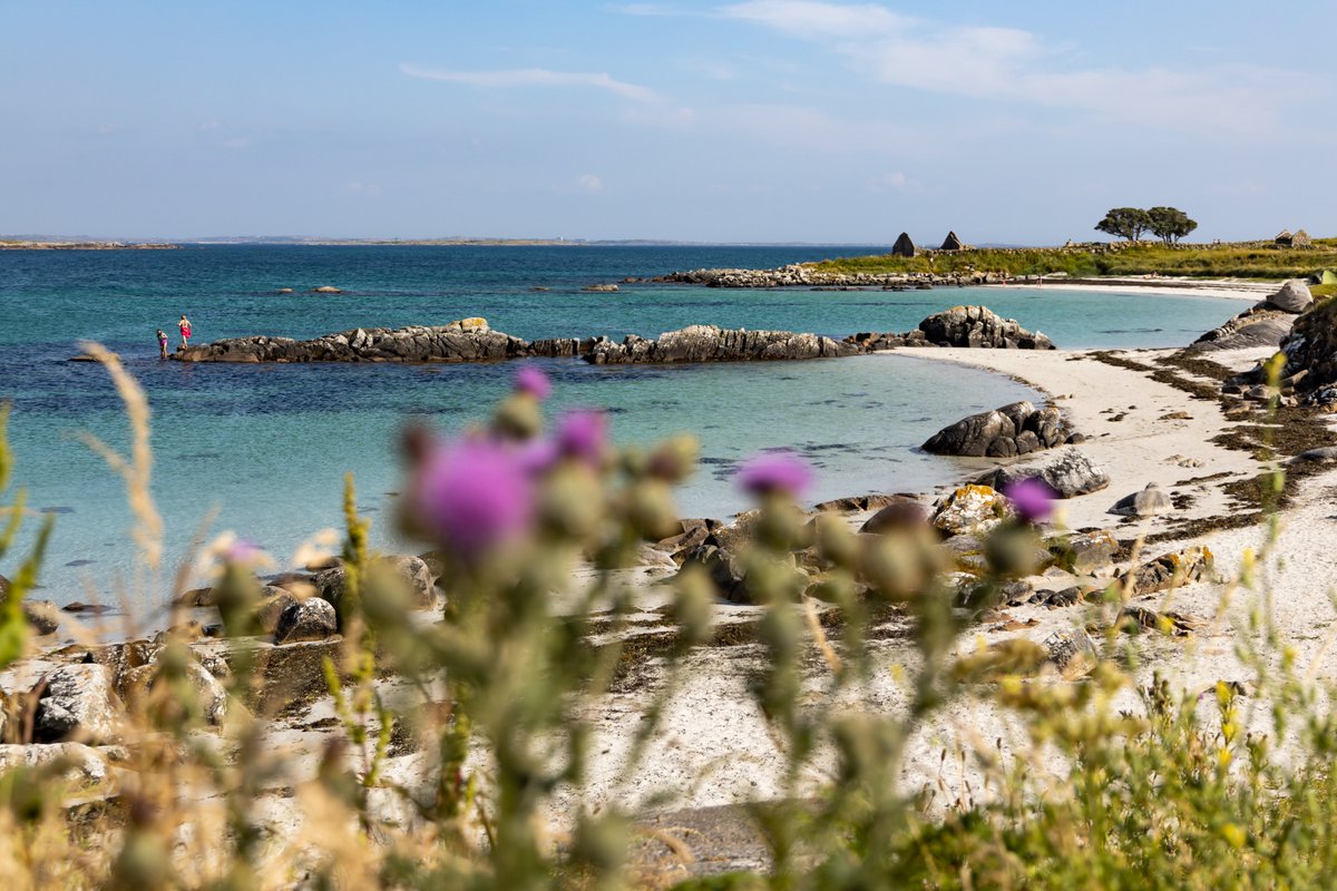 📍Carna in #Connemara has an abundance of spectacular beaches 🌊🙌🌅
📍Carna - tá neart tránna áille ann🌊🙌🌅
#Conamara #Gaeltacht #SeoíanGhaeltacht #WildAtlanticWay #SlíanAtlantaighFhiáin