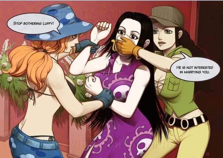 Jealous Nami-Swan : r/MemePiece