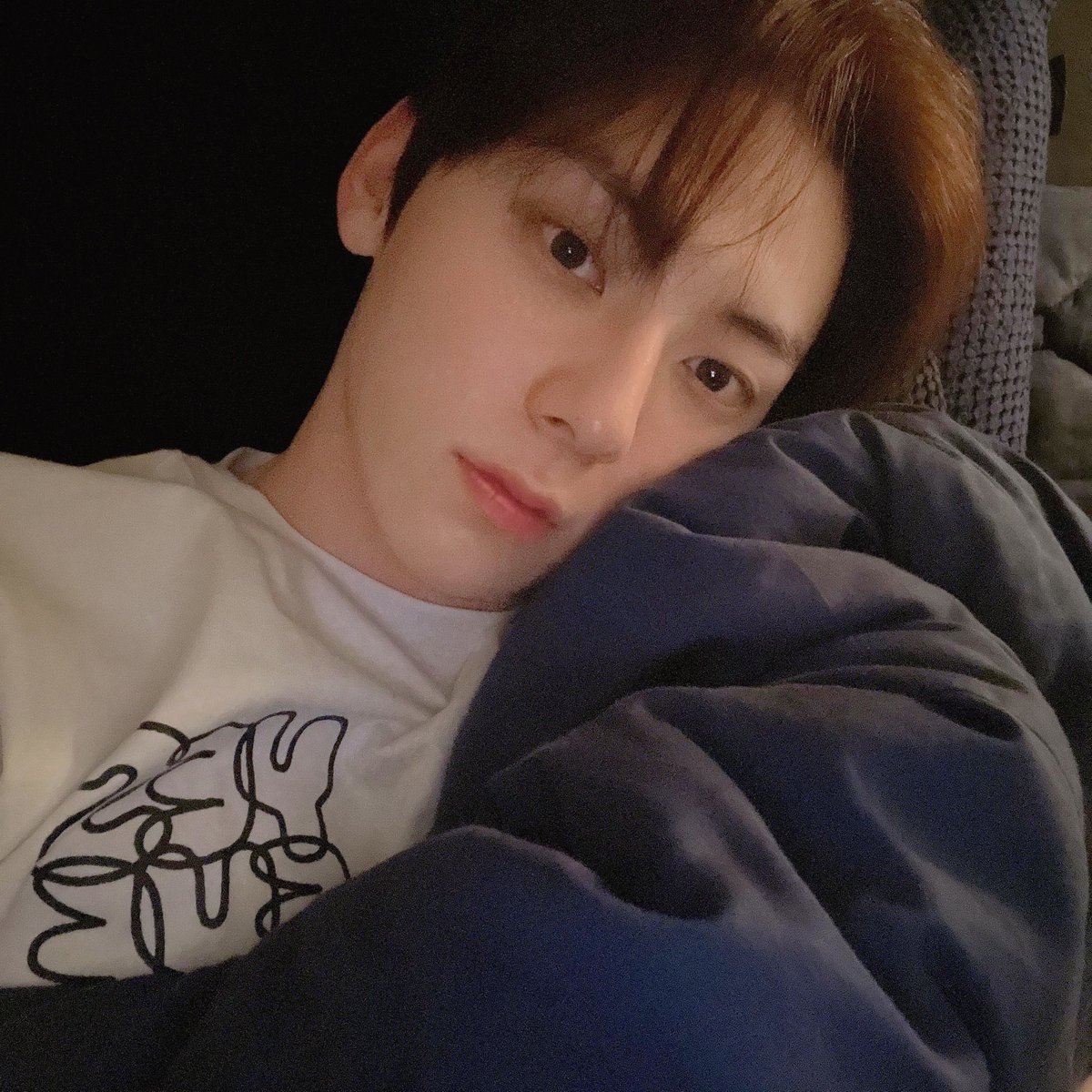 Kittenhwang tweet media