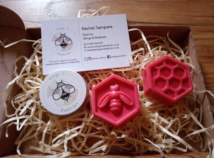 Our website is now back up and running, thank you for your patience 💛

wingsandradicles.co.uk