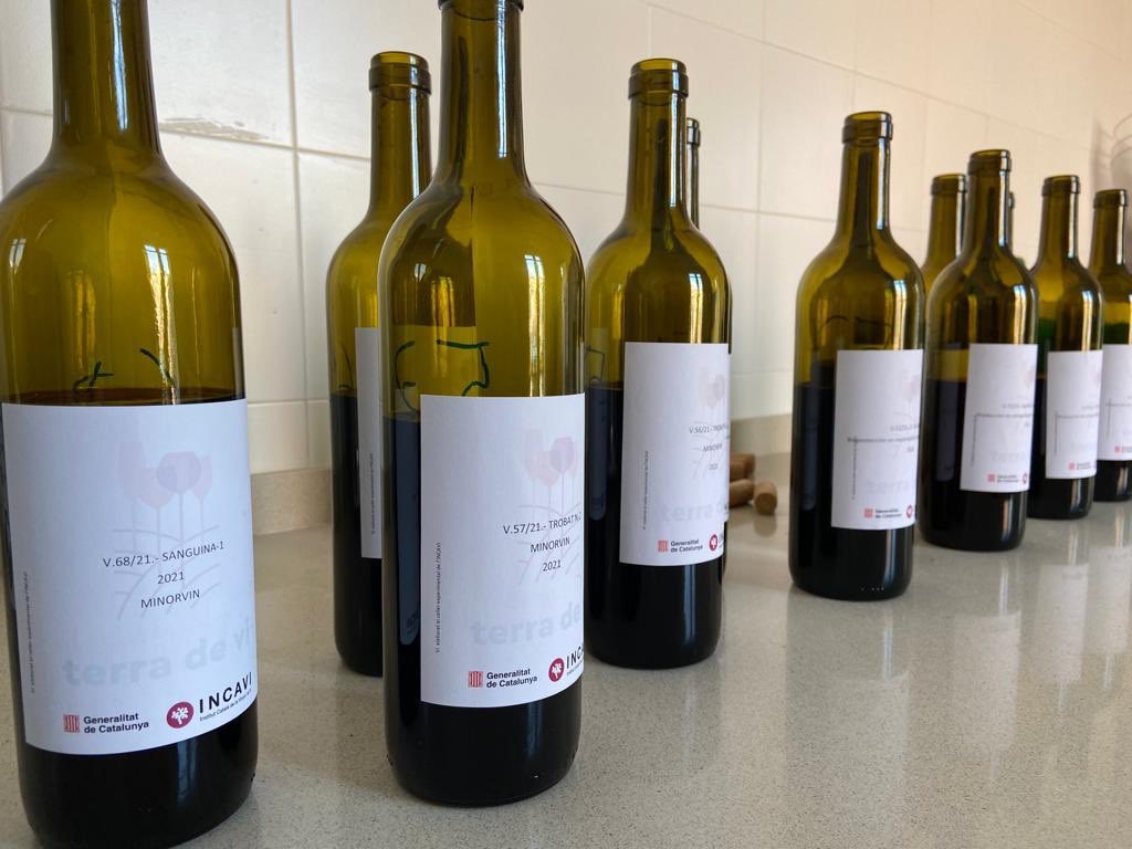 incavicat's tweet photo. La valoració sensorial dels vins experimentals obtinguts amb #varietatsancestrals atorga valor afegit a la recerca aplicada de l'INCAVI.
Avui avaluem resultats de varietats que s'estudien en el projecte #Minorvin i que es tastaran a la #bcnwineweek https://t.co/JKctk0hONj