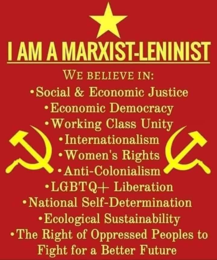 🇵🇸 Svetlana Setorovskova ☭ ⚛ tweet media