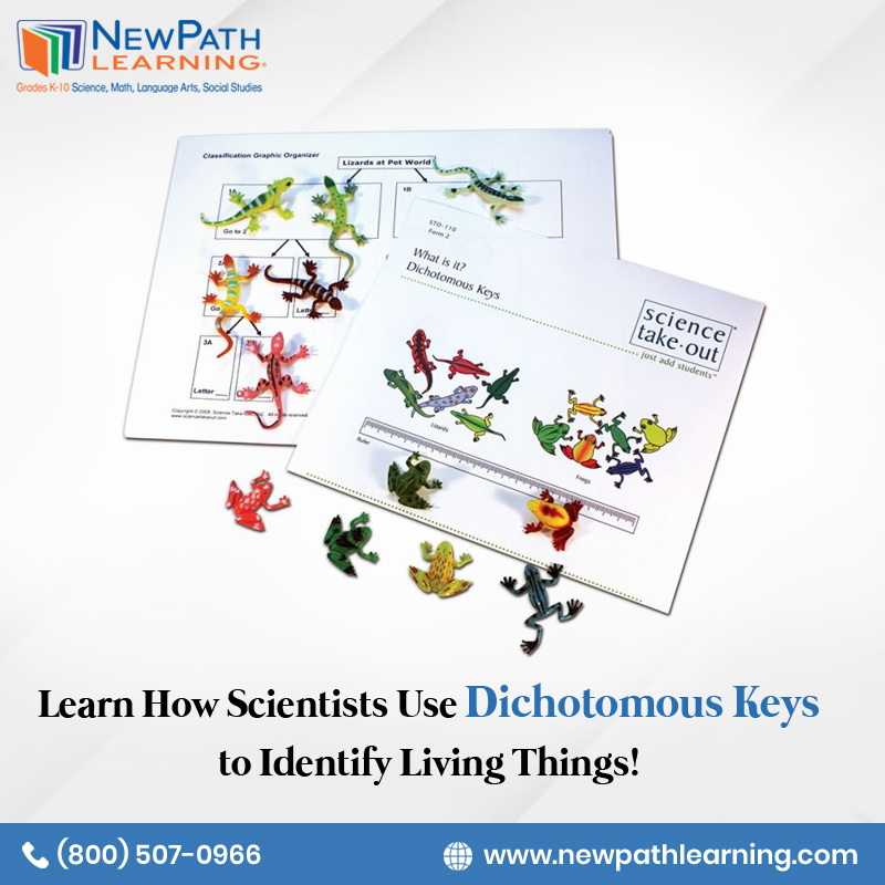NewPathLearning's tweet image. Learn how scientists use dichotomous keys to identify living things with NewPath&apos;s What is It? Dichotomous Keys Lab Investigation kit. The research-based lab activity was developed with support from the national institutes of health (NIH). newpathlearning.com/store/by-produ…
#NewPathLearning