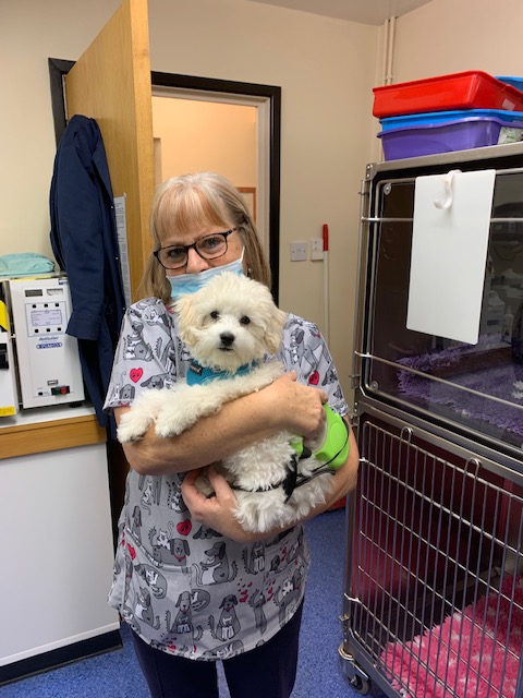 VillageVets ChFord tweet media